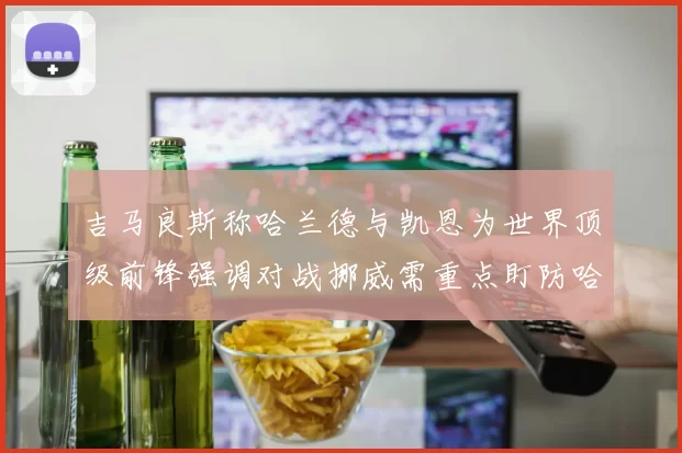 吉马良斯称哈兰德与凯恩为世界顶级前锋强调对战挪威需重点盯防哈兰德